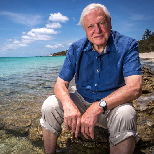 Sir David Attenborough
