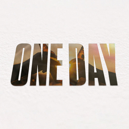 One Day: Our annual event